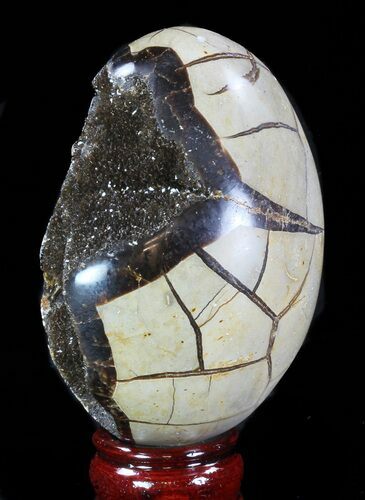 Septarian Dragon Egg Geode - Black Crystals #88517